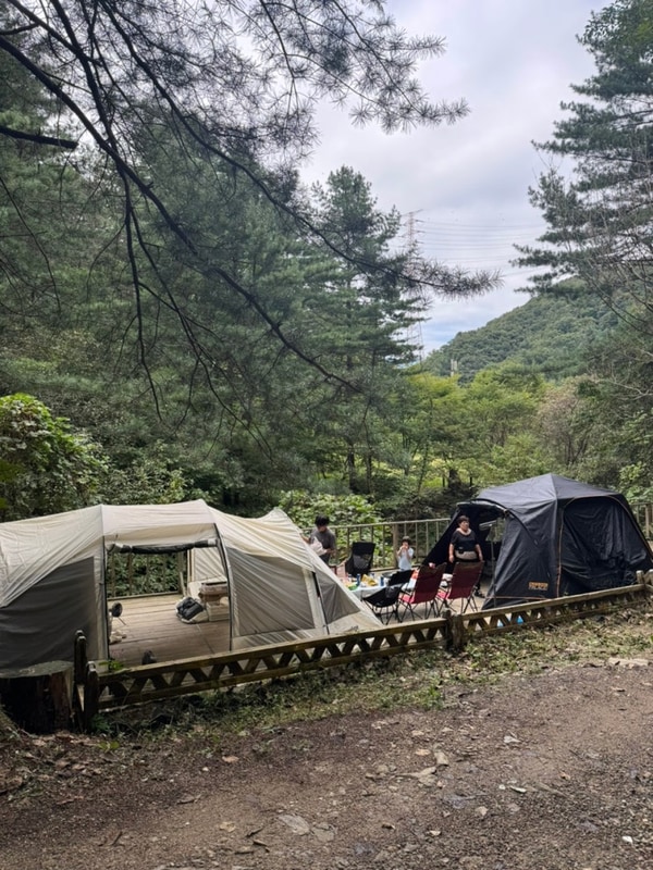 고모랑 포천 엉클킴스캠핑장 벨리큰데크 두가족 사이트 2일차...
