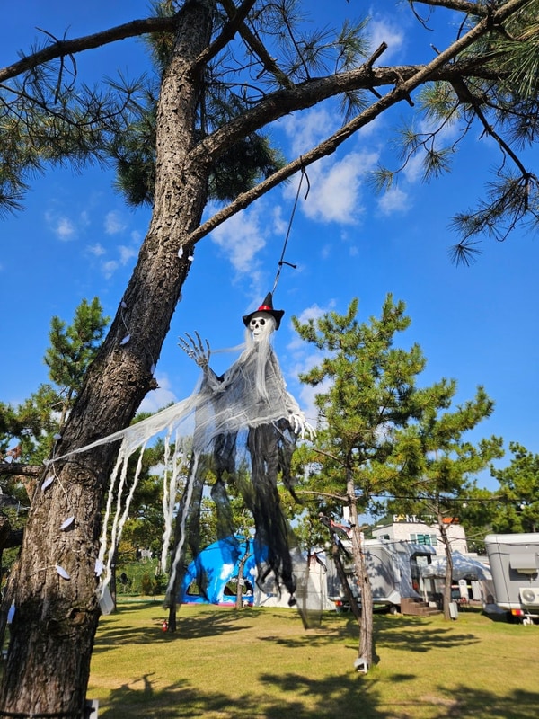 캠핑 4회차 | 시흥 판타스틱 캠프닉, 텐트존 오토캠핑 내돈내산...