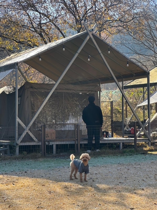 [캠핑로그 #3] 캠핑중DOG 2번 사이트 후기