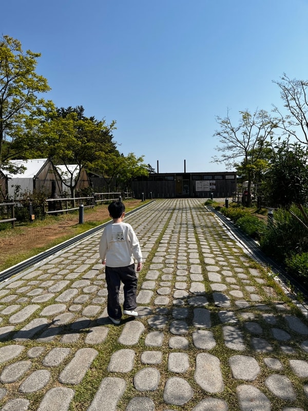 고창 상하농원 파머스글램핑 솔직 후기 내부 조식 스파까지 또...