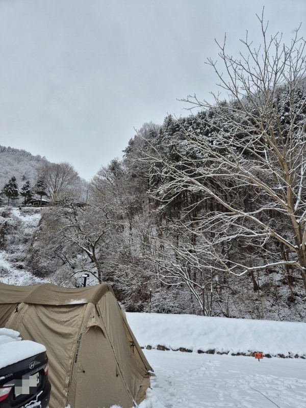 2025년 첫 캠핑, 홍천 도새울 캠핑장