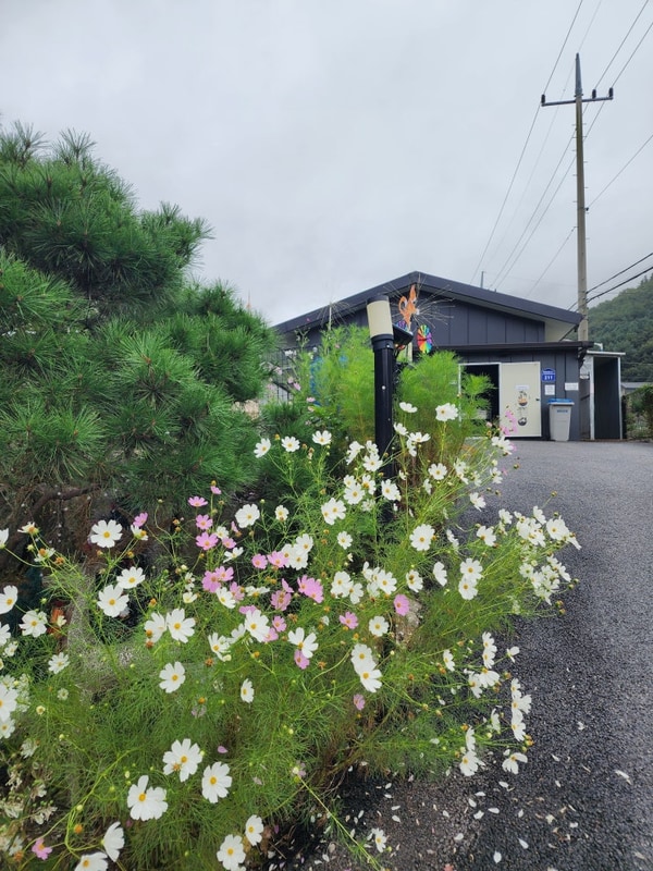 가평 한알캠핑장