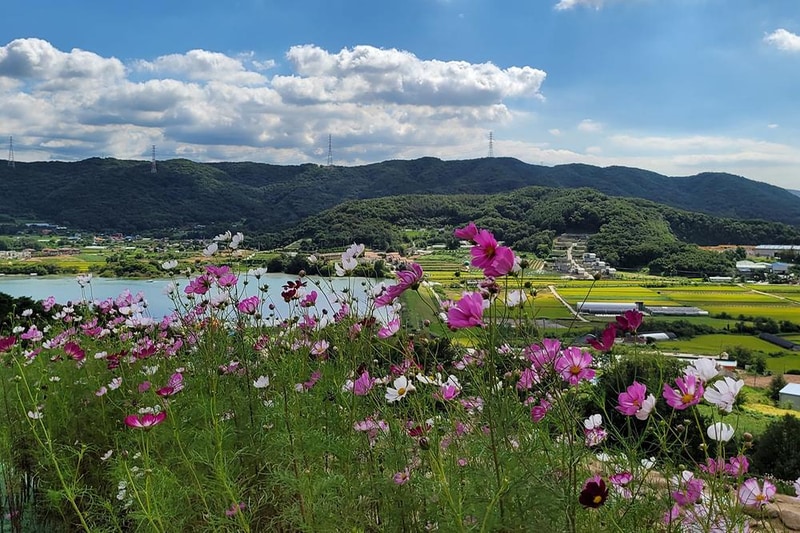캠프그라운드 화온 시설 사진 1