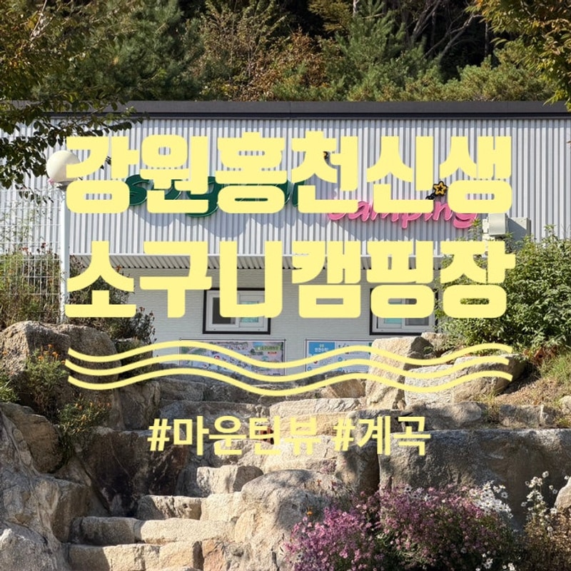 강원도 홍천 소구니 캠핑장 산 뷰와 계곡 깨끗한 시설이 좋은...