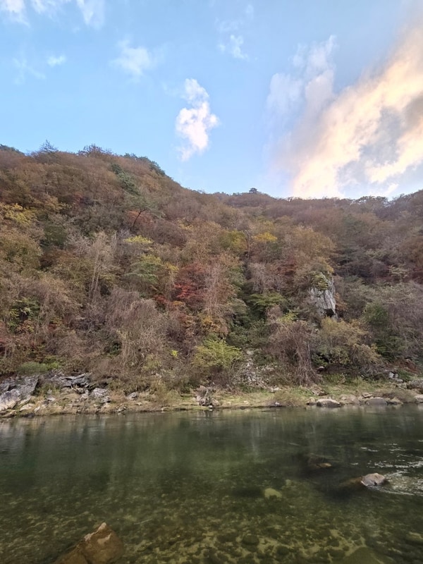 평창 뇌운계곡 글램핑 숲뷰 감성숙소