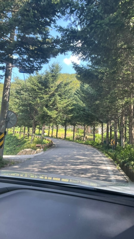 산청캠핑장 /더예감스테이 / 글램핑 / G5