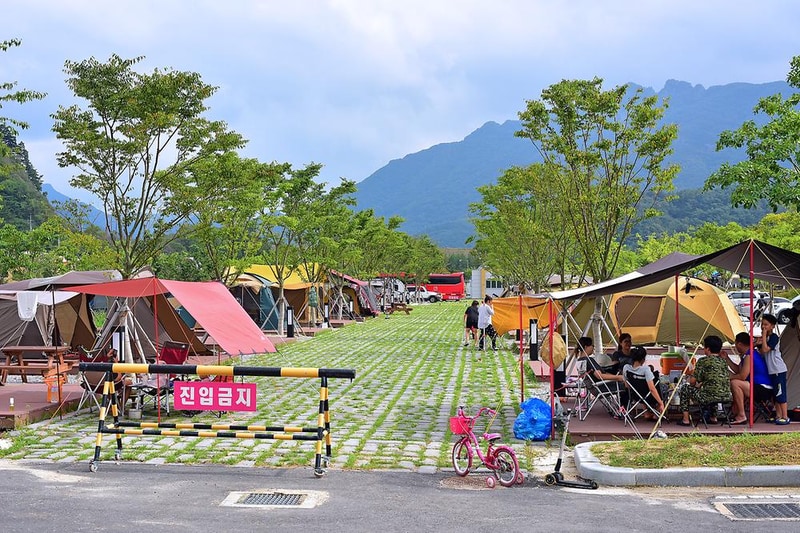 정읍시 내장산 국민여가캠핑장 시설 사진 11