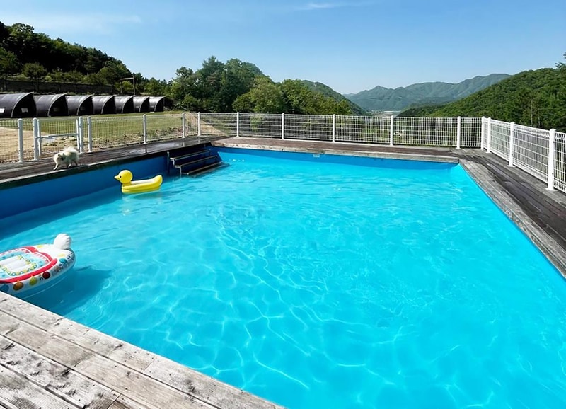 캐닌힐스(CANINHILLS) 시설 사진 1