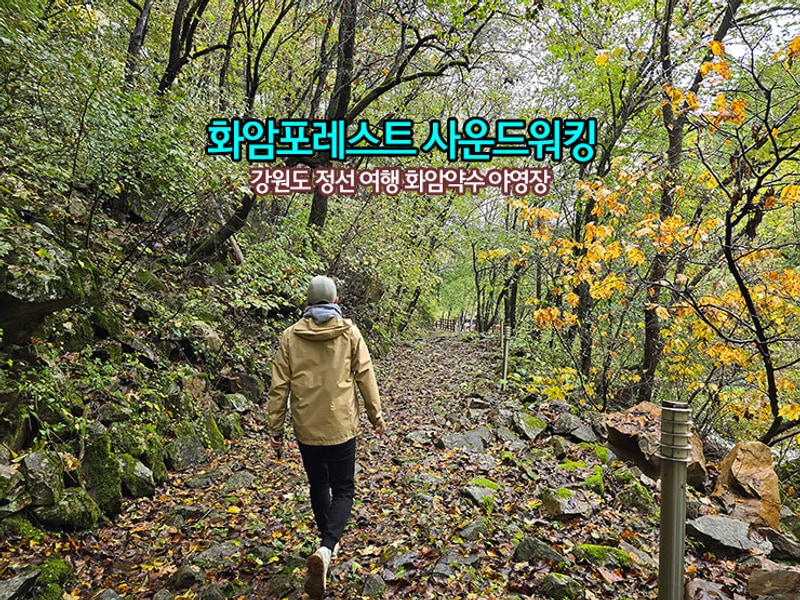 사운드워킹 강원도 정선 가볼 만한 곳 화암약수 야영장