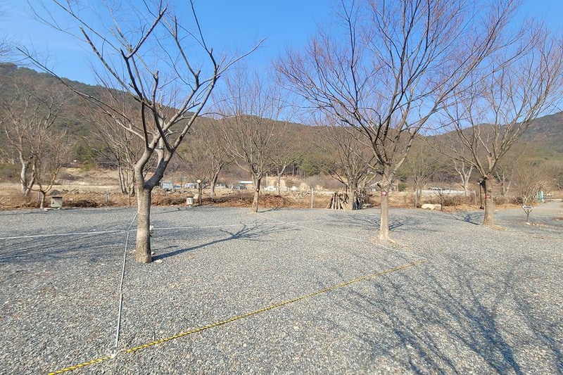 늘푸른캠핑장 시설 사진 6