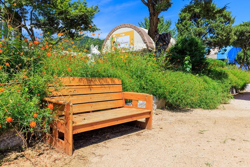 솔부엉이 캠핑장 시설 사진 17