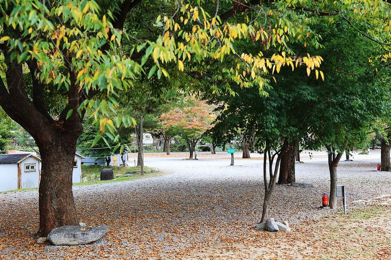 청정 캠핑장 시설 사진 2