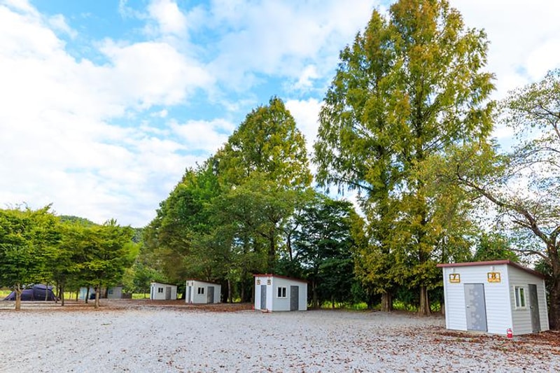 파랑새 캠핑장 대표 사진