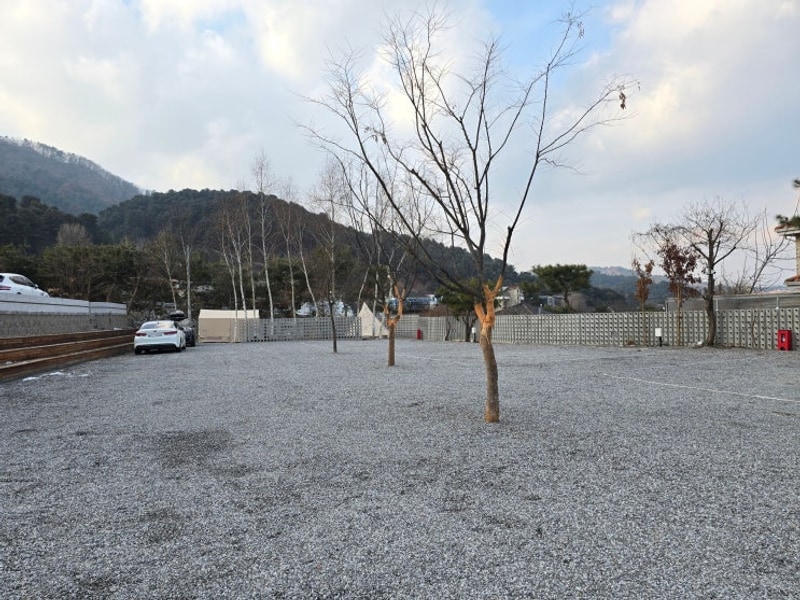 [반려견 동반 캠핑] 가평 모아이캠프_프라이빗하고 깨끗한...