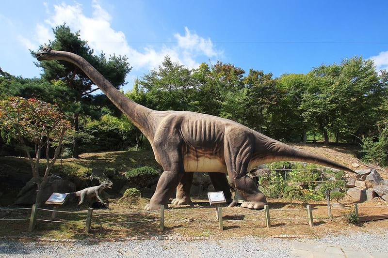 이안숲속오토캠핑장 시설 사진 20