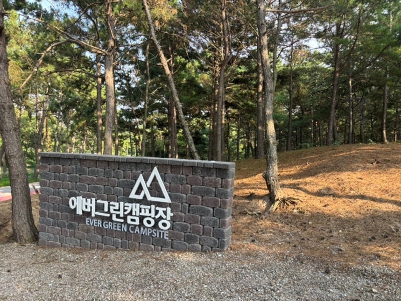 신안 소나무 숲속+바다 힐링 글램핑 "에버그린캠핑장" 직접...