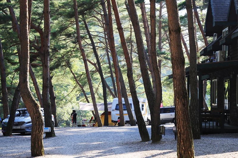 솔밭 캠프장 시설 사진 18