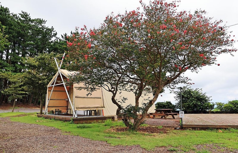 녹고뫼캠핑장 관광농원 시설 사진 34