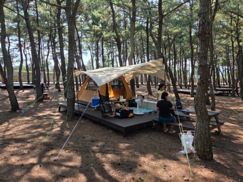 영덕 고래불국민야영장(7/29~30, A36 데크)