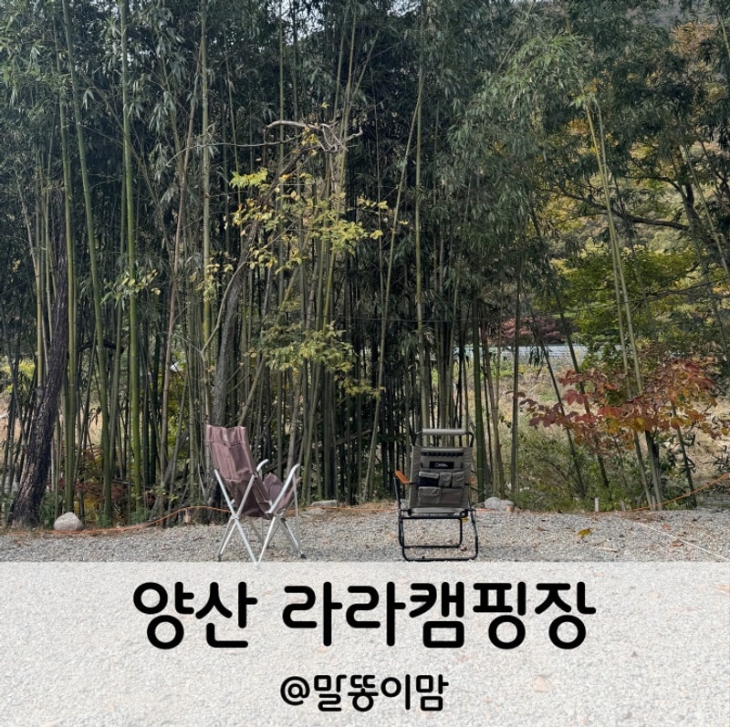 #캠핑 :) 양산 라라캠핑장 가을캠 / 경남캠핑장 추천
