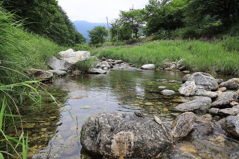 포시즌캠핑장 시설 사진 7