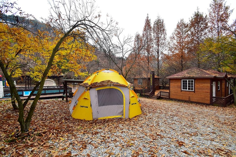 LAFORESTA(라포레스타) 시설 사진 2