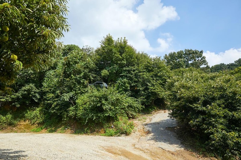 따봉캠핑장 시설 사진 8