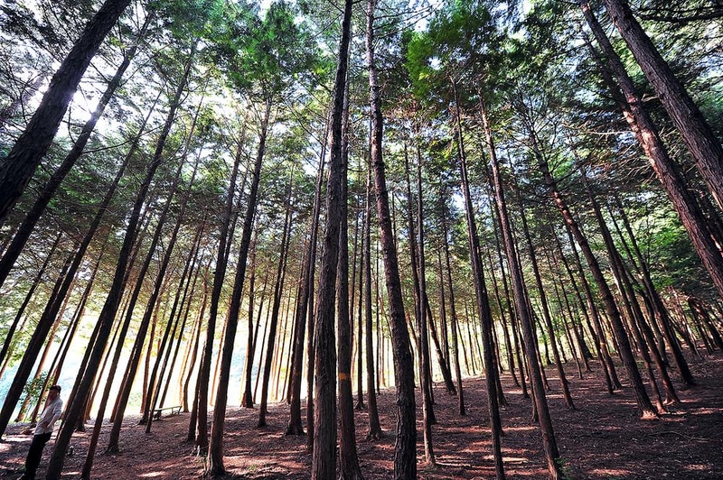 하늘빛수목원 시설 사진 14