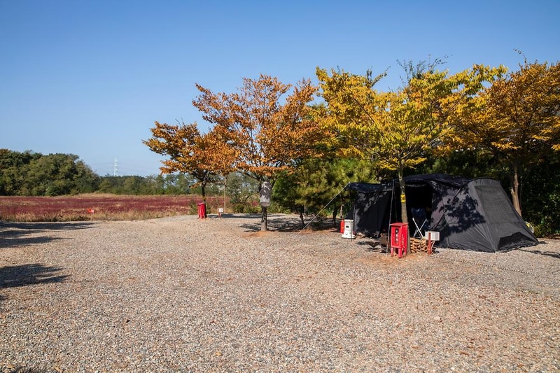 선재오토캠핑장 시설 사진 8