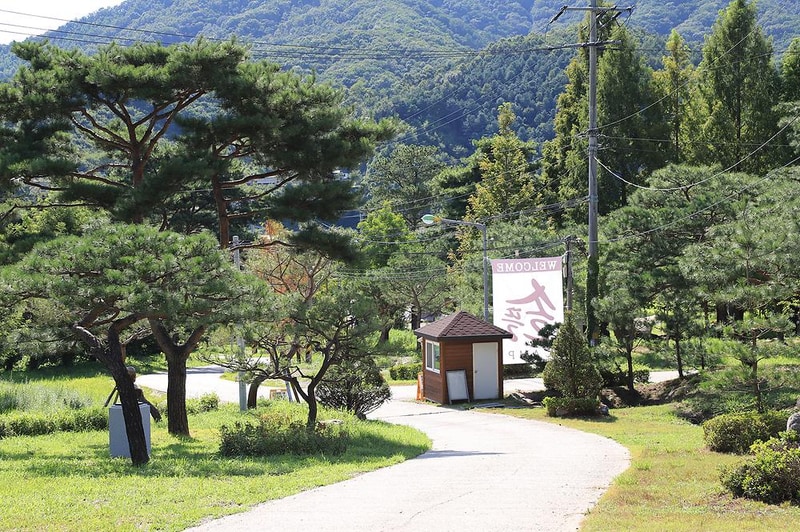 숲속의야영장 시설 사진 20