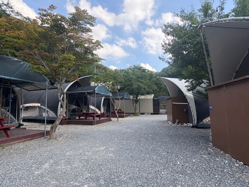 경남 양산의 숲속 글램핑장 ... 캠프 포레