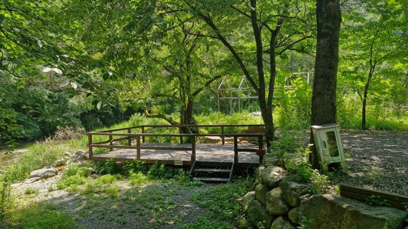 물놀이 최적의 한적한 계곡 영월 물마루 캠핑장 후기