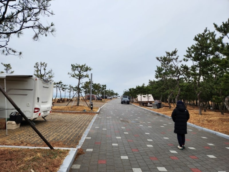 올해 마무리(??)로 울진 염전해변캠핑장