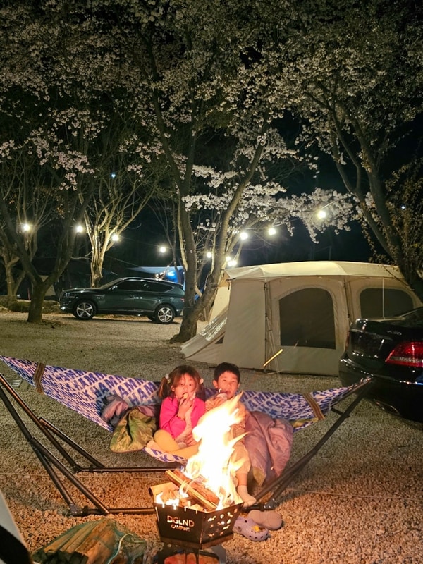 [나다캠11] 포천 딥포레스트캠핑장, 이래서 벚꽃캠하는구나!...