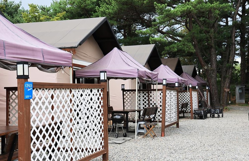 수원 솔내음 캠핑장 시설 사진 15