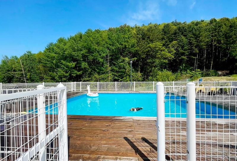 캐닌힐스(CANINHILLS) 시설 사진 7