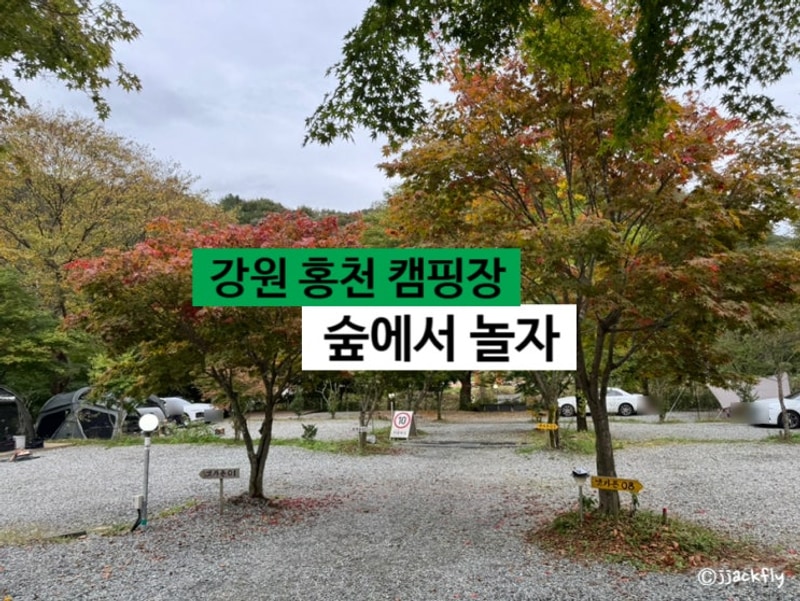 가을 캠핑장 추천 홍천 '숲에서 놀자 캠핑장' + 단풍 캠핑 + 자리...