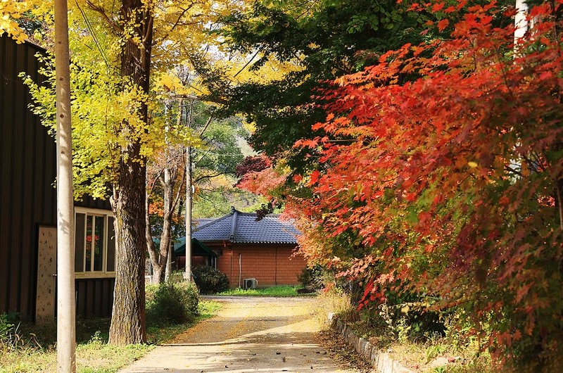 일영Star캠핑장 시설 사진 8