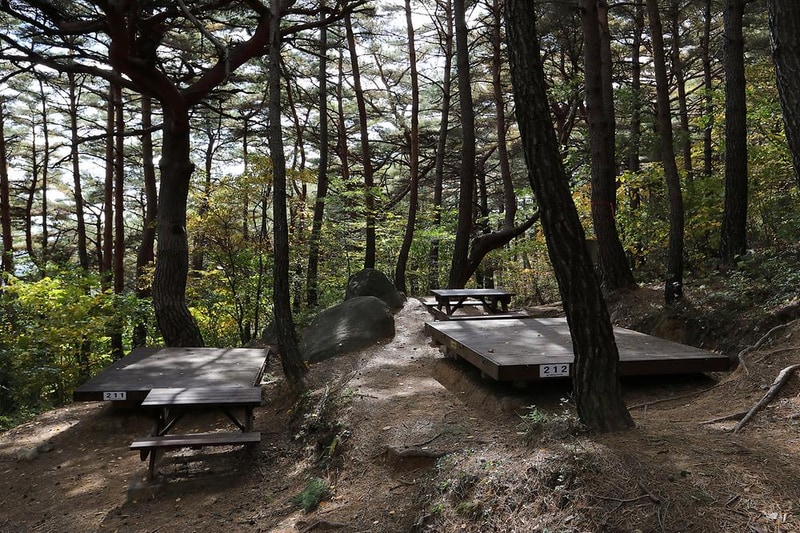 국립자연휴양림관리소 칠보산 자연휴양림 시설 사진 12