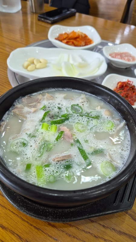 부산 캠핑,영도 마리노오토캠핑장, 주중 캠핑,부산근교 여행...