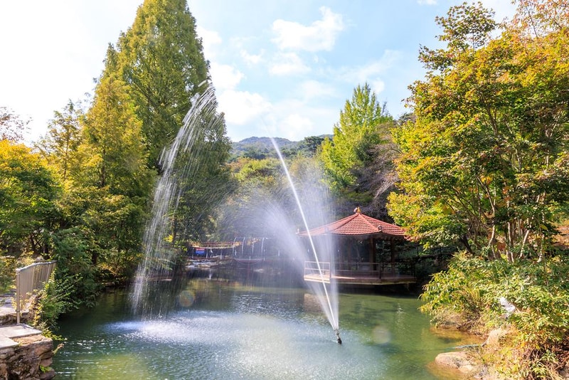 심천치유자연휴양림야영장 시설 사진 4