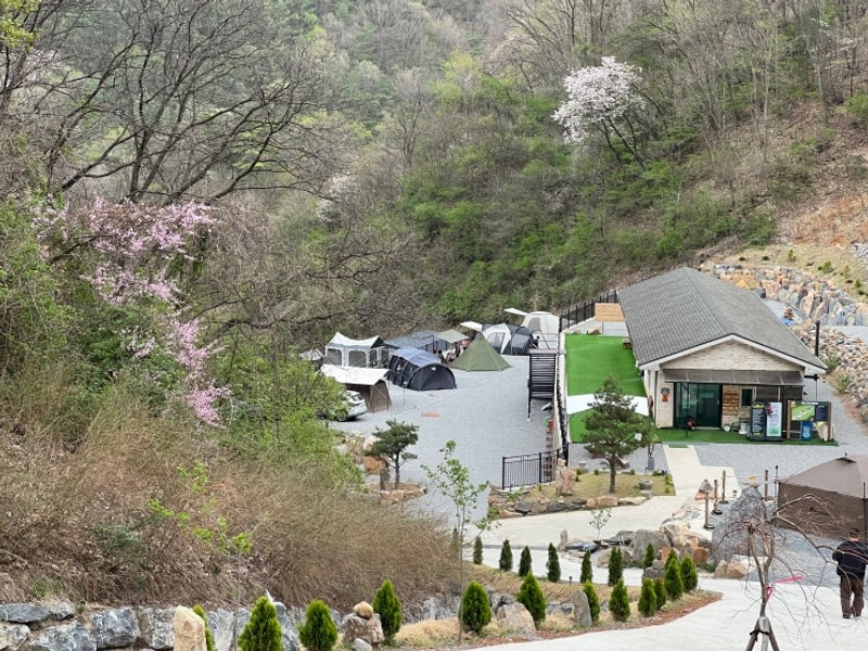 단양 캠핑장] 조용하고 시설 좋은 단양 도담캠핑장 - F3 사이트