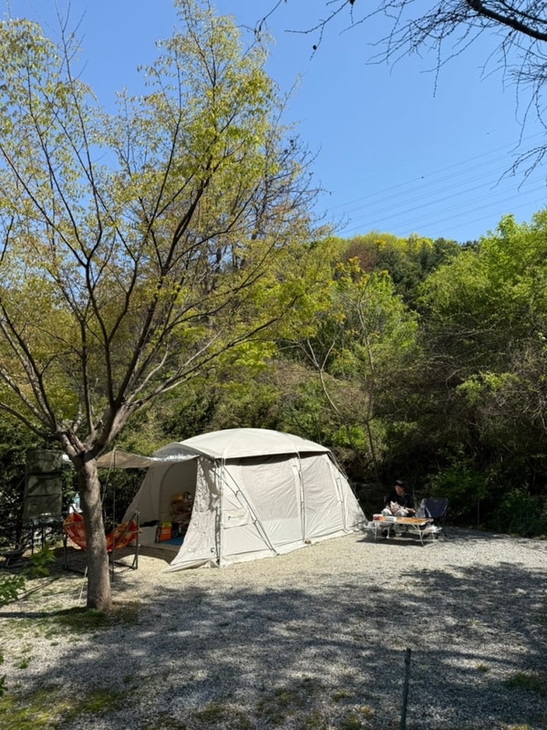 애견동반가능한 ‘포천캠핑마을’