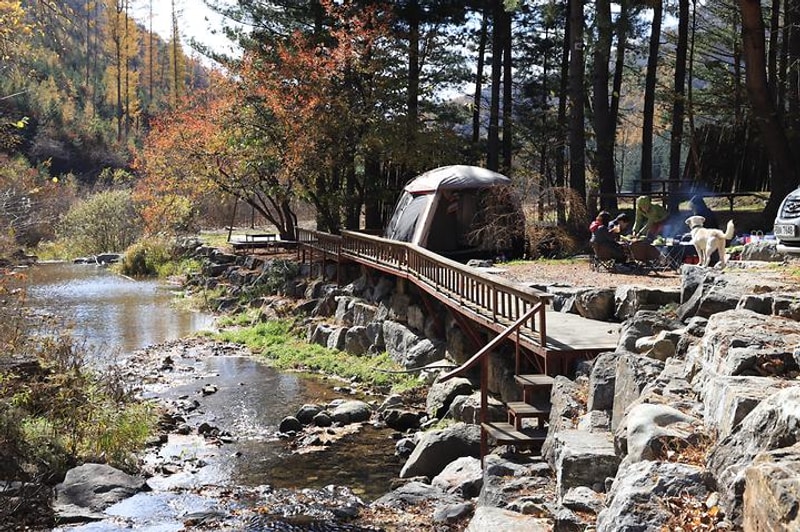 봉평마가리 캠핑장 대표 사진