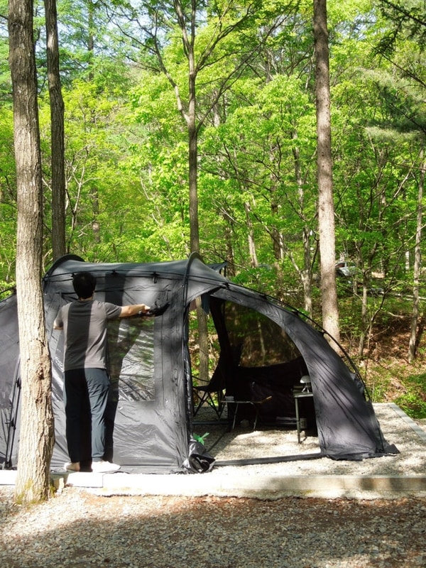 국립화천숲속야영장 14번 데크에서 봄 캠핑