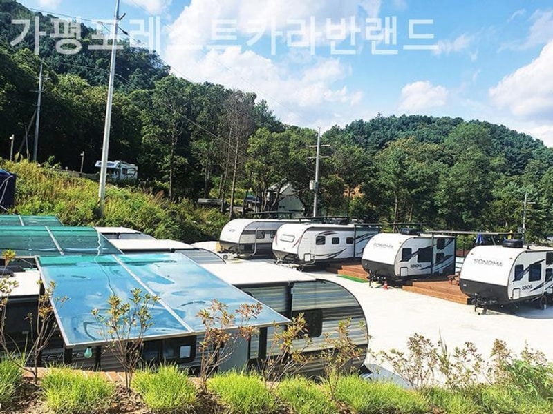 경기도애견동반펜션 가평포레스트카라반랜드 가볼만한곳