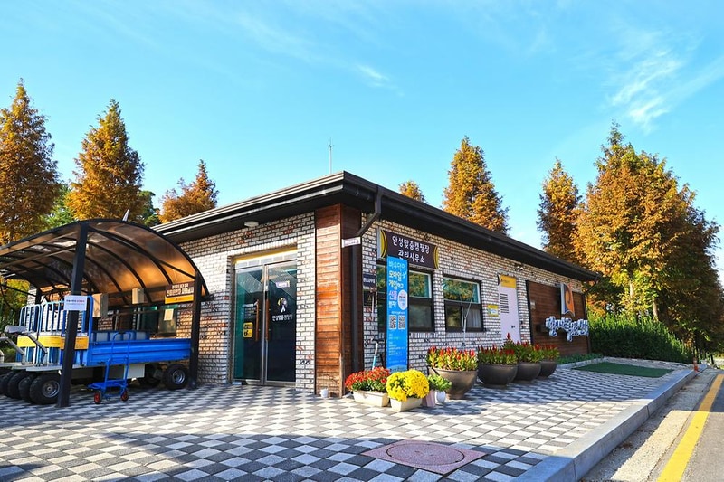 안성맞춤 캠핑장 시설 사진 43