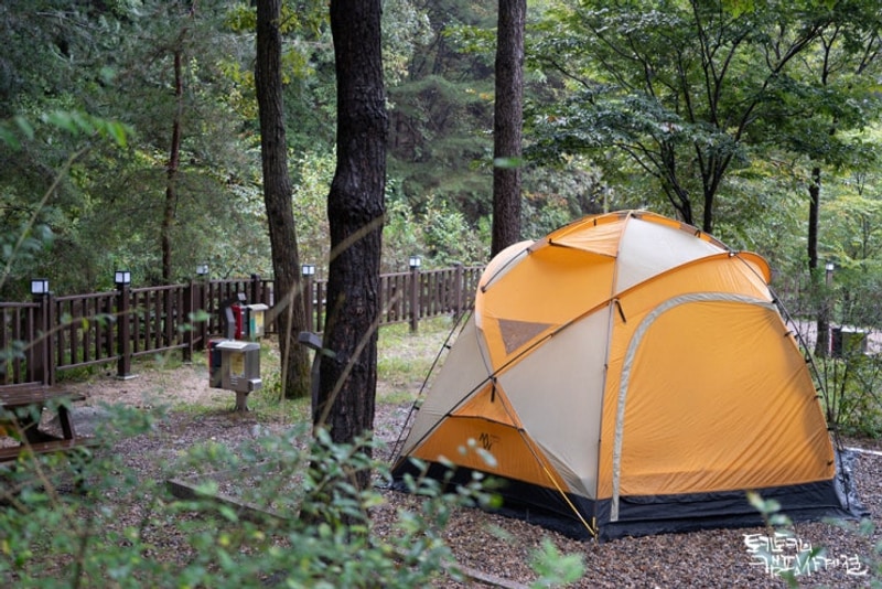 국립화천숲속야영장 2박 캠핑