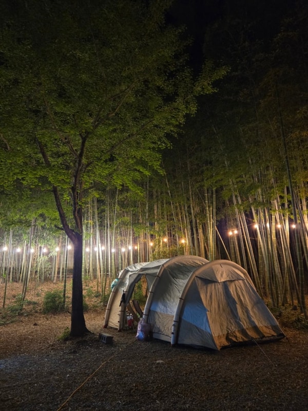 담양 대나무골캠핑장/죽녹원/한국대나무박물관/메타프로방스