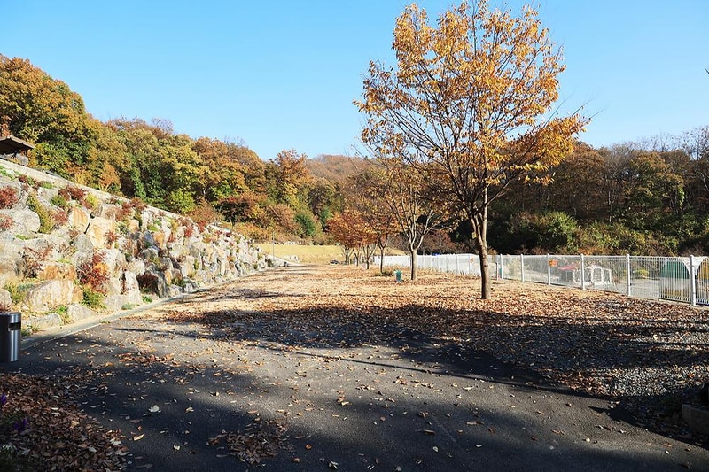 달그린캠프 시설 사진 8